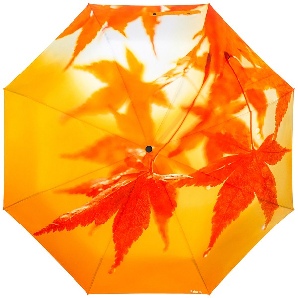 Зонт с желтыми листьями клёна RainLab 079